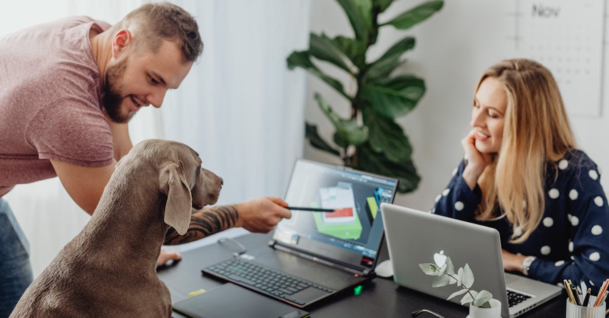 découvrez en détail l'ensemble complet de services proposés par comprehensive pour répondre à vos besoins.