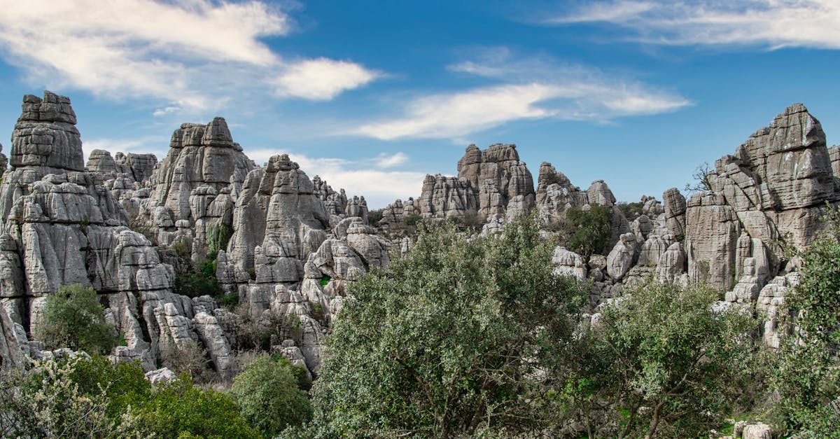 découvrez notre assurance voyage pour des vacances en toute tranquillité. profitez de notre protection complète pour vos voyages à l'étranger.