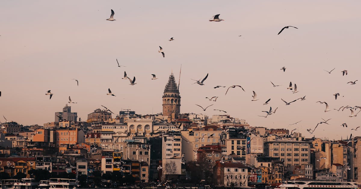 assurance voyage : trouvez la meilleur protection pour votre voyage avec notre assurance voyage fiable et abordable.